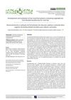 Development and Evaluation of Hair Mask Formulations Containing Vegetable Oils from Brazilian Biodiversity for Curly Hair