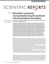 Minoxidil Is a Potential Neuroprotective Drug for Paclitaxel-Induced Peripheral Neuropathy