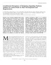 Conditional Disruption of Hedgehog Signaling Pathway Defines Its Critical Role in Hair Development and Regeneration