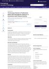 Trichoscopy Features of Indonesian Males with Androgenetic Alopecia in Association with Disease Severity