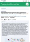 Injectable and Biofunctionalized Fibrin Hydrogels Co-Embedded with Stem Cells Induce Hair Follicle Genesis