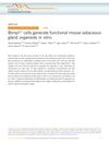 Blimp1+ Cells Generate Functional Mouse Sebaceous Gland Organoids In Vitro