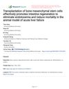 Transplantation of Bone Mesenchymal Stem Cells Effectively Promotes Intestine Regeneration to Eliminate Endotoxemia and Reduce Mortality in the Animal Model of Acute Liver Failure