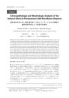 Clinicopathologic and Morphologic Analysis of the Adrenal Gland in Pomeranians with Non-Illness Alopecia