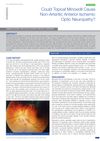 Could Topical Minoxidil Cause Non-Arteritic Anterior Ischemic Optic Neuropathy?