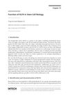Function of KLF4 in Stem Cell Biology