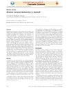Stratum Corneum Dysfunction in Dandruff