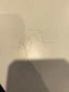 Experiencing shedding for 2+ months on fin and min