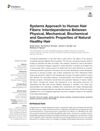 Systems Approach to Human Hair Fibers: Interdependence Between Physical, Mechanical, Biochemical, and Geometric Properties of Natural Healthy Hair