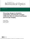 Measuring Changes in Chemistry, Composition, and Molecular Structure Within Hair Fibers by Infrared and Raman Spectroscopic Imaging
