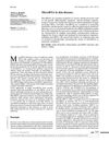 MicroRNA in Skin Diseases