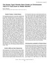 The Human Type II Keratin Gene Cluster on Chromosome 12q13.13: Final Count or Hidden Secrets?