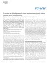 Lamins in Development, Tissue Maintenance, and Stress
