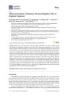 Characterization of Human Dermal Papilla Cells in Alginate Spheres