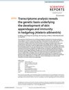 Transcriptome Analysis Reveals the Genetic Basis Underlying the Development of Skin Appendages and Immunity in Hedgehog (Atelerix Albiventris)