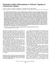 Penetration Profile of Microspheres in Follicular Targeting of Terminal Hair Follicles