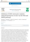 Inhibition of CISD1 Attenuates Cisplatin-Induced Hearing Loss in Mice via the PI3K and MAPK Pathways