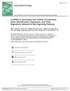 LncRNAs in Secondary Hair Follicle of Cashmere Goat: Identification, Expression, and Their Regulatory Network in Wnt Signaling Pathway