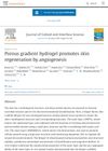 Porous Gradient Hydrogel Promotes Skin Regeneration by Angiogenesis