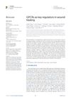 GPCRs as Key Regulators in Wound Healing