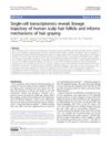 Single-Cell Transcriptomics Reveals Lineage Trajectory of Human Scalp Hair Follicle and Informs Mechanisms of Hair Graying