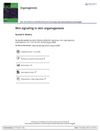 Wnt Signaling in Skin Organogenesis