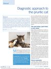 Diagnostic Approach to the Pruritic Cat