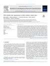 iNOS Inhibits Hair Regeneration in Obese Diabetic (ob/ob) Mice
