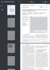 Akkermansia Muciniphila Promotes Testosterone-Mediated Hair Growth Inhibition in Mice