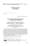 The Role of Wnt and Shh Signaling Systems in Noggin-Induced Tumorigenesis