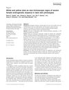 White And Yellow Dots As New Trichoscopic Signs Of Severe Female Androgenetic Alopecia In Dark Skin Phototypes
