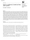 Study on Modification of Rabbit Hair Fibers with L-Cysteine