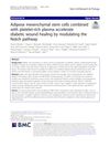 Adipose Mesenchymal Stem Cells Combined with Platelet-Rich Plasma Accelerate Diabetic Wound Healing by Modulating the Notch Pathway