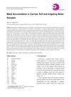 Metal Accumulation in Carrots, Soil, and Irrigation Water Samples