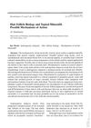Hair Follicle Biology and Topical Minoxidil: Possible Mechanisms of Action