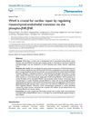Wnt4 Is Crucial for Cardiac Repair by Regulating Mesenchymal-Endothelial Transition via the Phospho-JNK/JNK