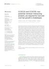 CCDC22 and CCDC93, Two Potential Retriever-Interacting Proteins, Are Required for Root and Root Hair Growth in Arabidopsis
