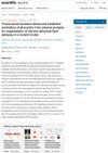 Transcranial Focused Ultrasound-Mediated Unbinding of Phenytoin for Suppression of Chronic Temporal Lobe Epilepsy in a Rodent Model