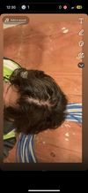 Fin dosage and how often? Decided to do something about my thinning