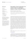Stimulation of Hair Regrowth in an Animal Model of Androgenic Alopecia Using 2-Deoxy-D-Ribose
