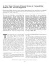 In Vitro Main Pathways of Steroid Action in Cultured Hair Follicle Cells: Vascular Approach