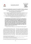 Gold Thread Implantation Promotes Hair Growth in Humans and Mice