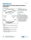 Touch Receptors Undergo Rapid Remodeling in Healthy Skin