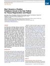Brg1 Governs a Positive Feedback Circuit in the Hair Follicle for Tissue Regeneration and Repair