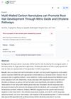 Multi-Walled Carbon Nanotubes Can Promote Root Hair Development Through Nitric Oxide and Ethylene Pathways