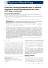 Clinical and Histological Characterization of Multifocal, Spontaneous, Noninfectious Alopecia in Norwegian Puffin Dogs (Lundehunds)