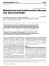 Metabolomic And Lipidomic Atlas Of Human Hair Across Its Length