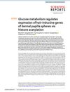 Glucose Metabolism Regulates Expression of Hair-Inductive Genes of Dermal Papilla Spheres via Histone Acetylation
