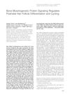 Bone Morphogenetic Protein Signaling Regulates Postnatal Hair Follicle Differentiation and Cycling