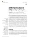 High Auxin and High Phosphate Impact on RSL2 Expression and ROS Homeostasis Linked to Root Hair Growth in Arabidopsis Thaliana